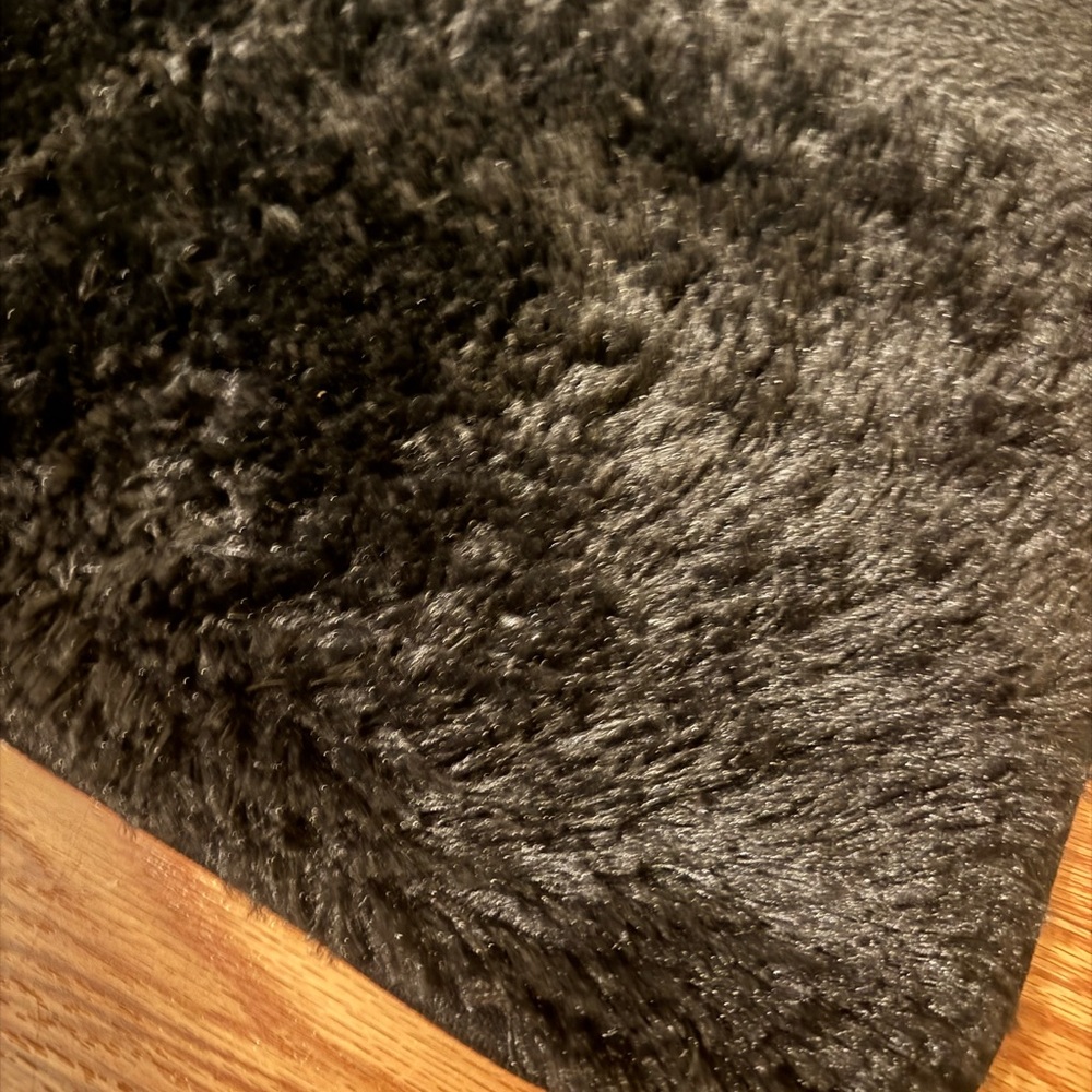New Black Area Rug 3’X5’